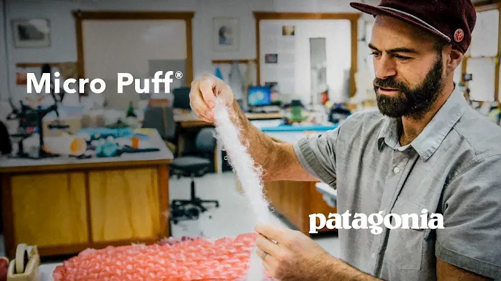 Patagonia Micro Puff®